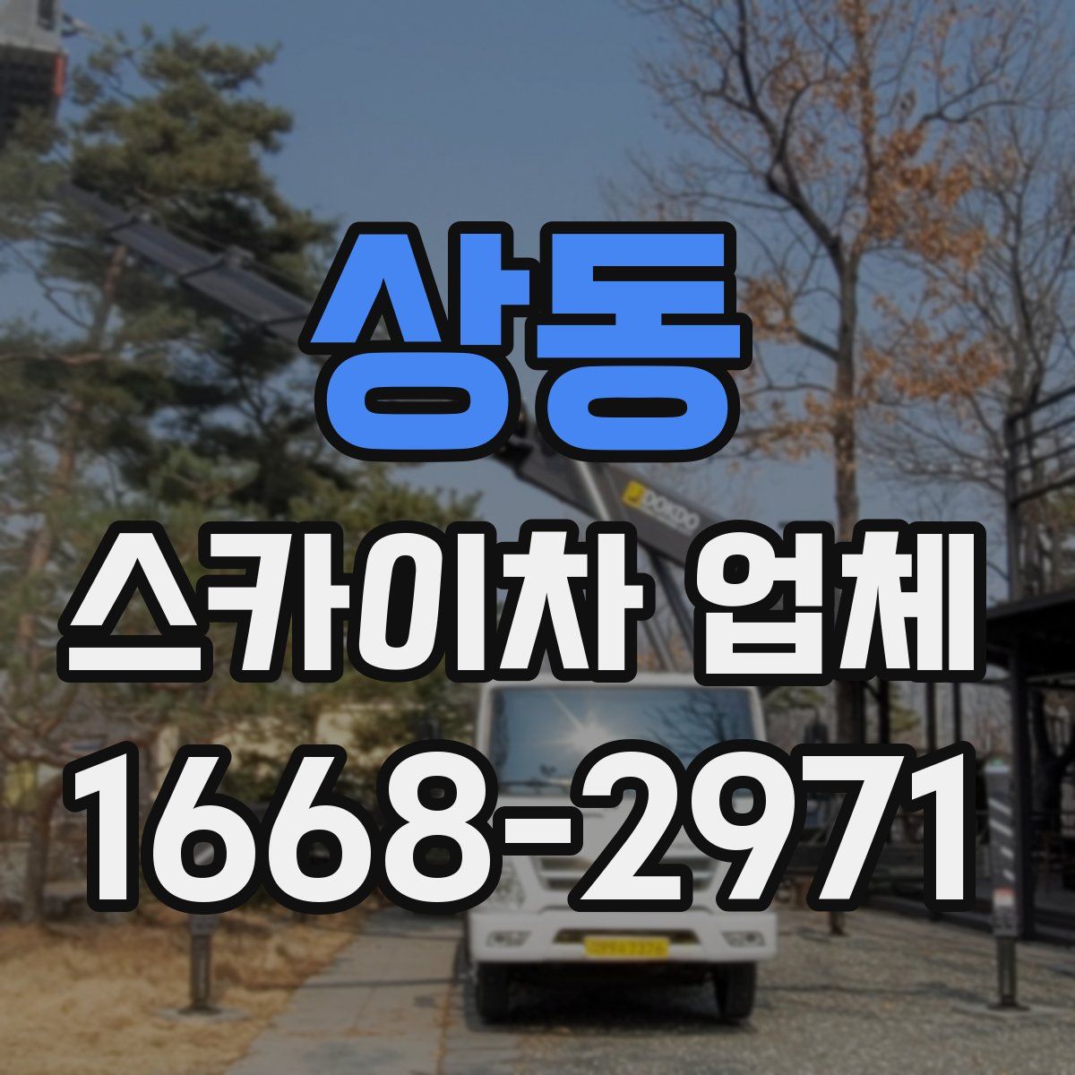 상동 스카이차 업체