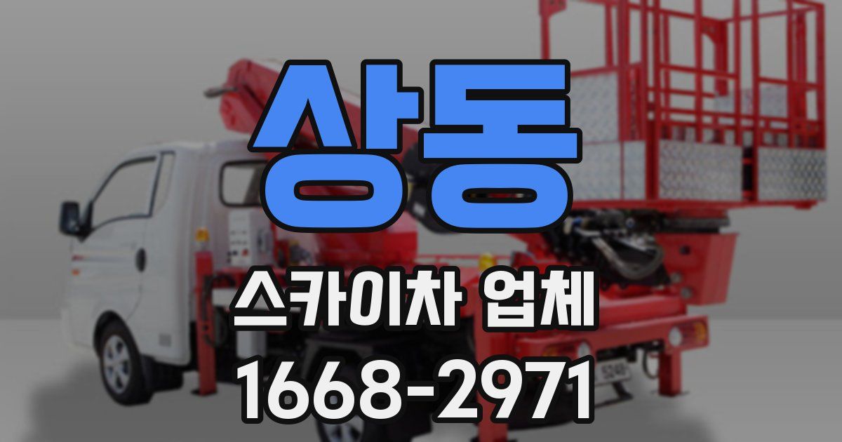 상동 스카이차 업체