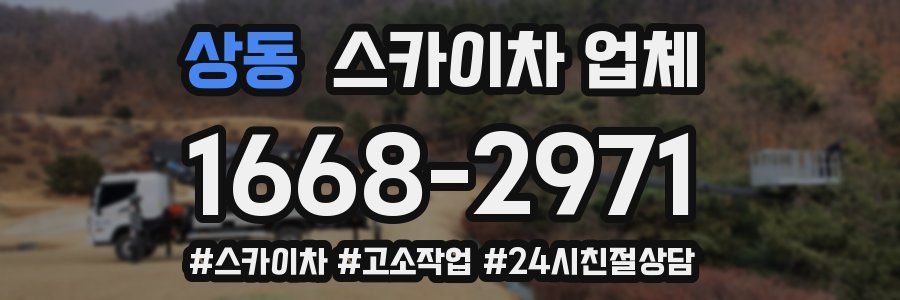 상동 스카이차 업체