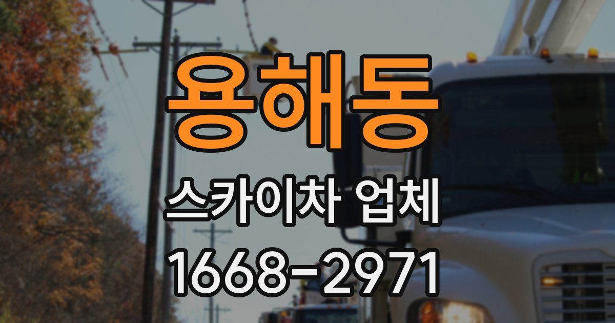 용해동 스카이차 업체
