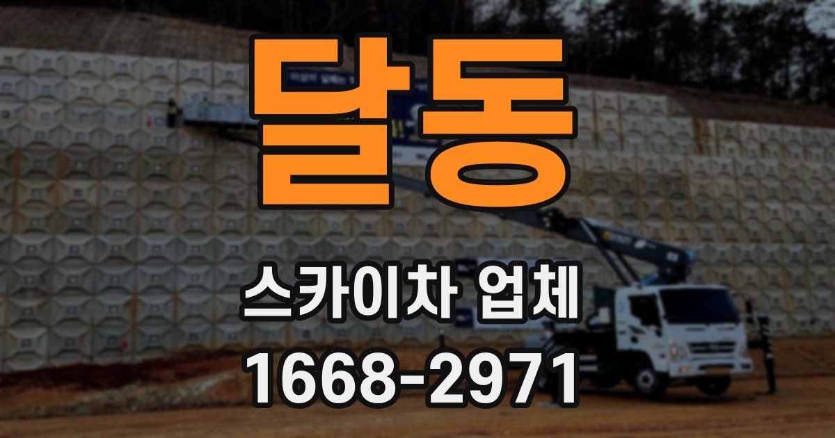 달동 스카이차 업체