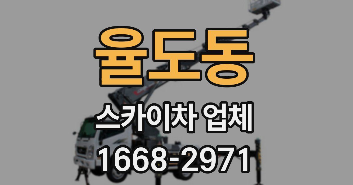 율도동 스카이차 업체