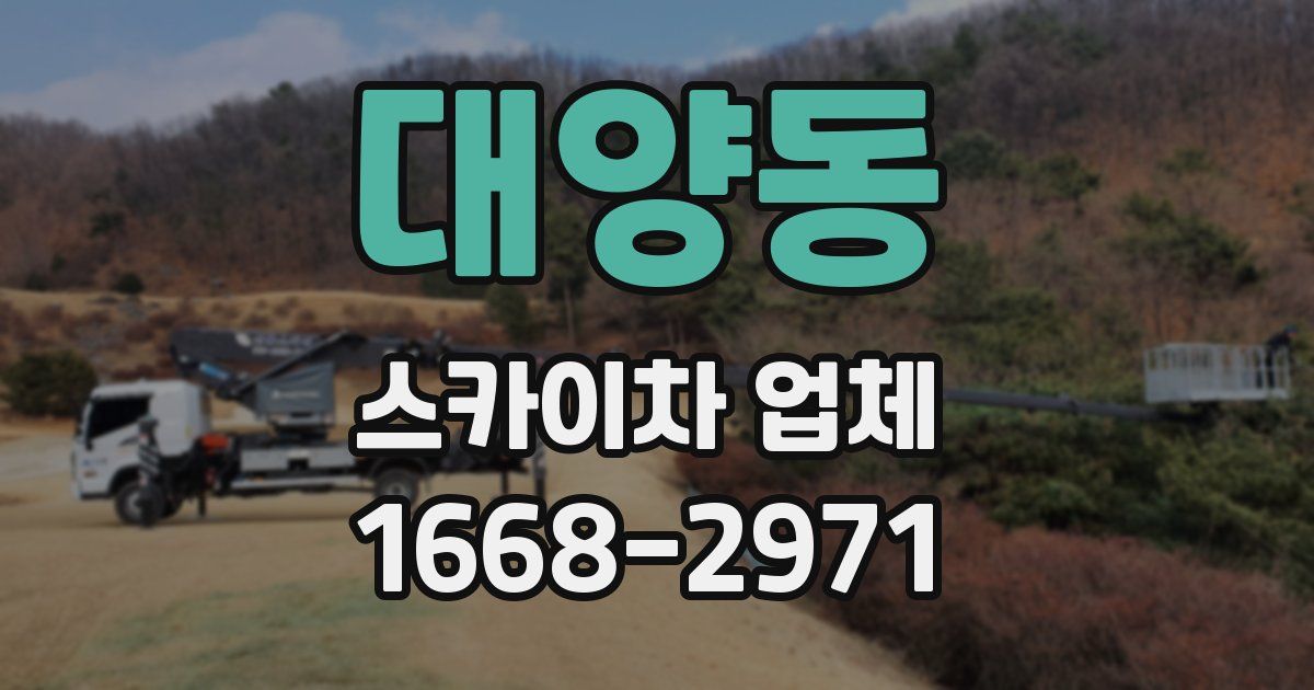 대양동 스카이차 업체