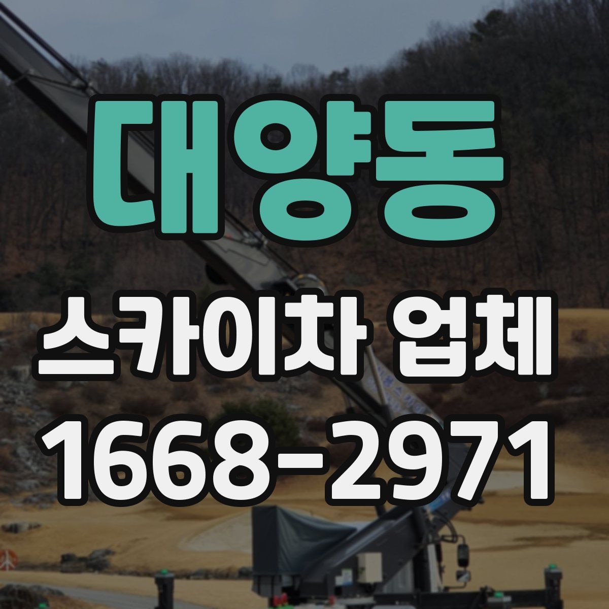 대양동 스카이차 업체