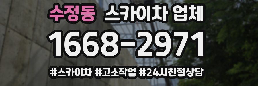 수정동 스카이차 업체