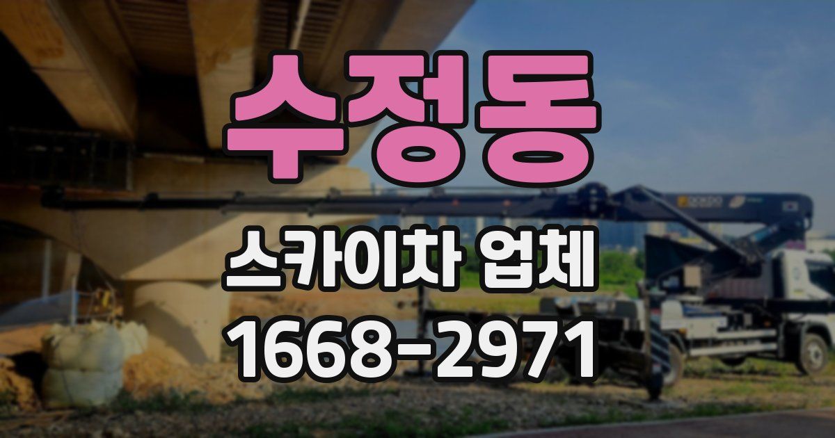 수정동 스카이차 업체