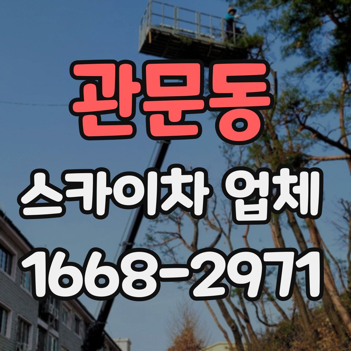 관문동 스카이차 업체