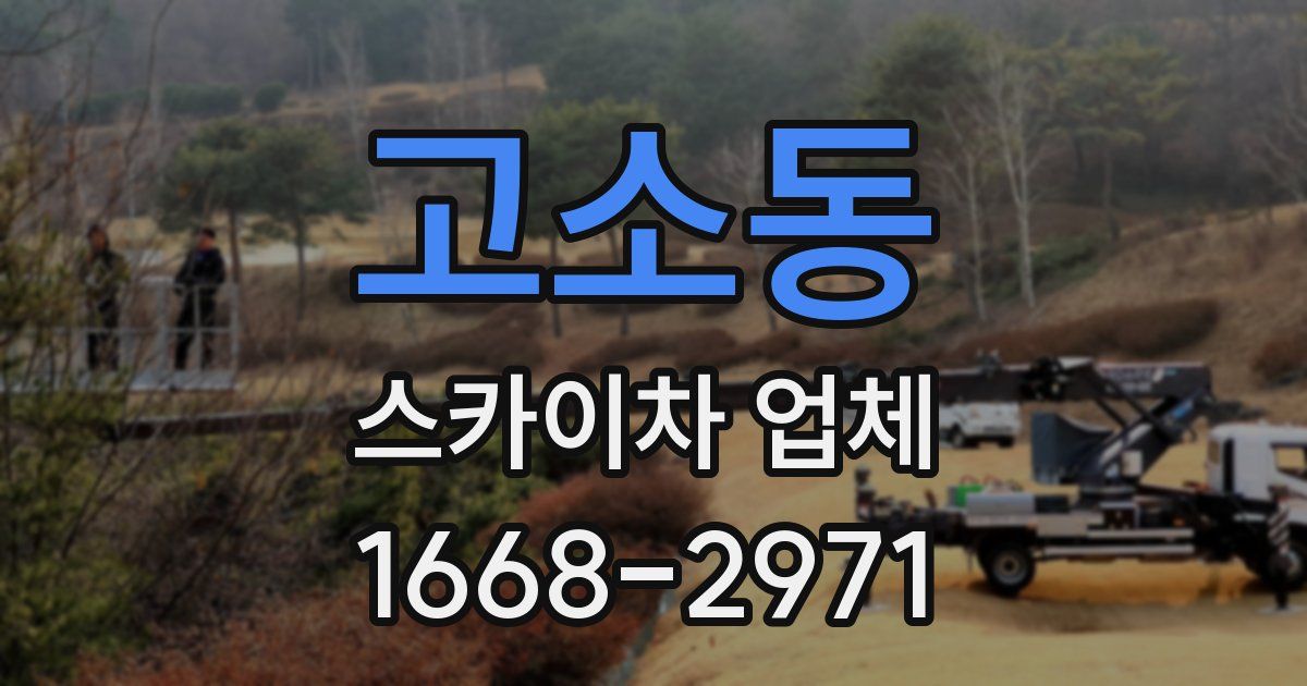 고소동 스카이차 업체