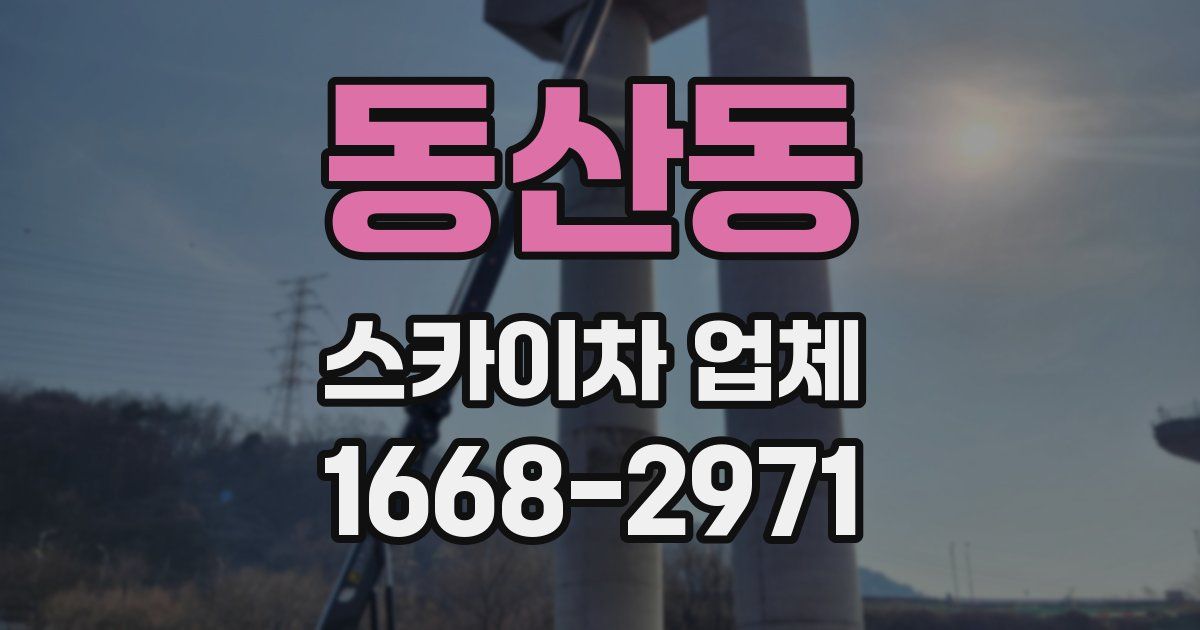 동산동 스카이차 업체