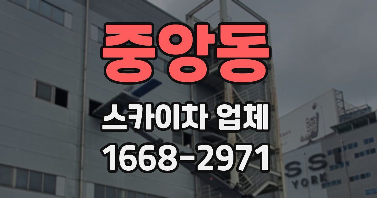 중앙동 스카이차 업체