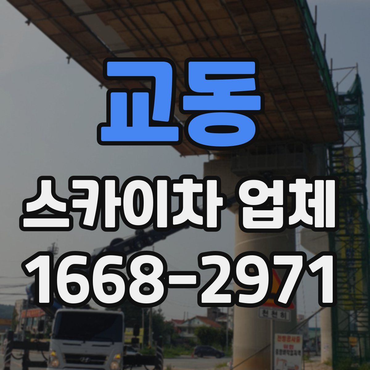 교동 스카이차 업체