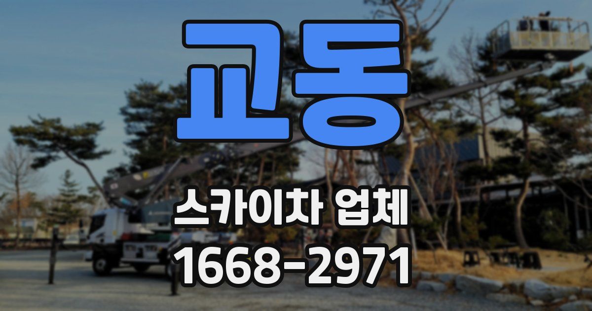 교동 스카이차 업체
