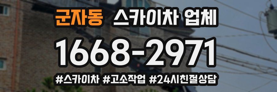 군자동 스카이차 업체