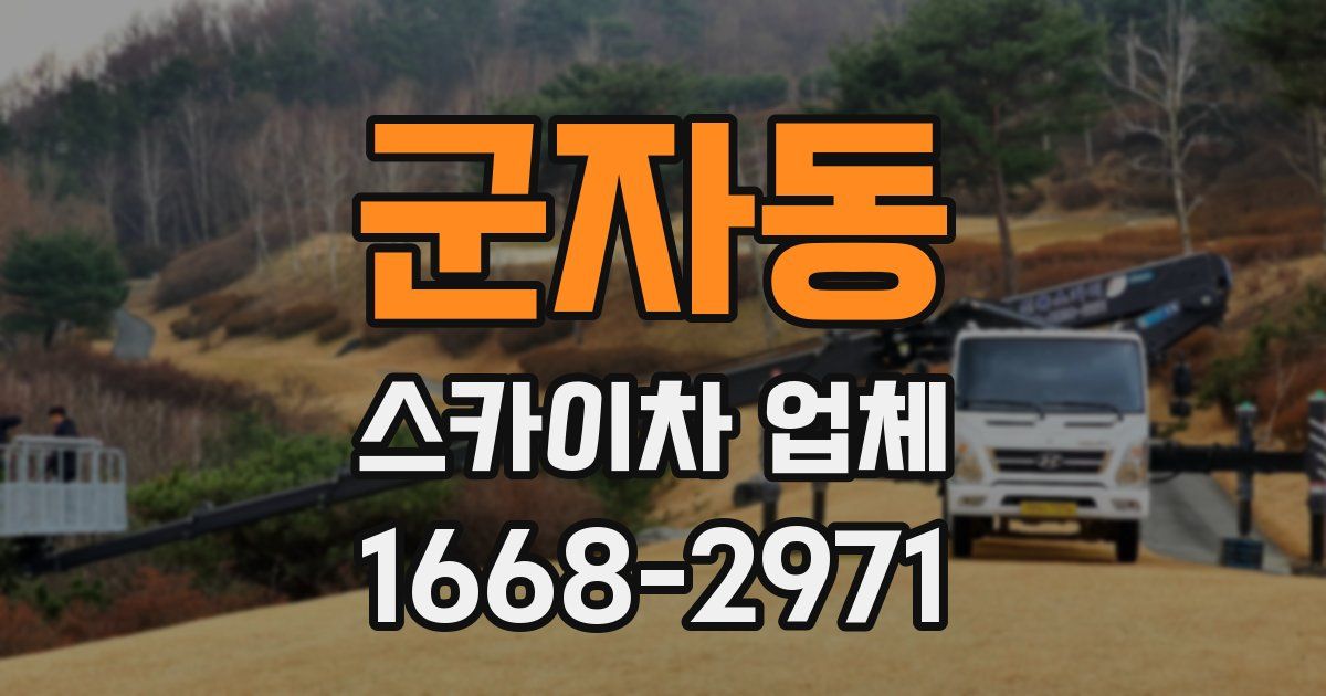 군자동 스카이차 업체
