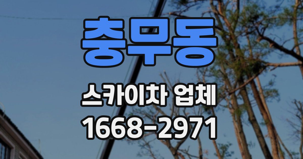 충무동 스카이차 업체
