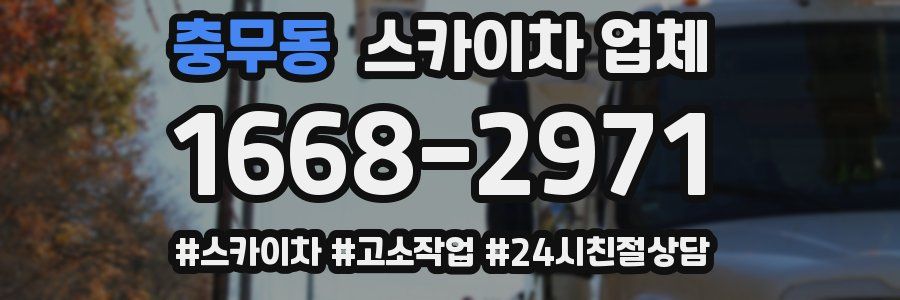 충무동 스카이차 업체
