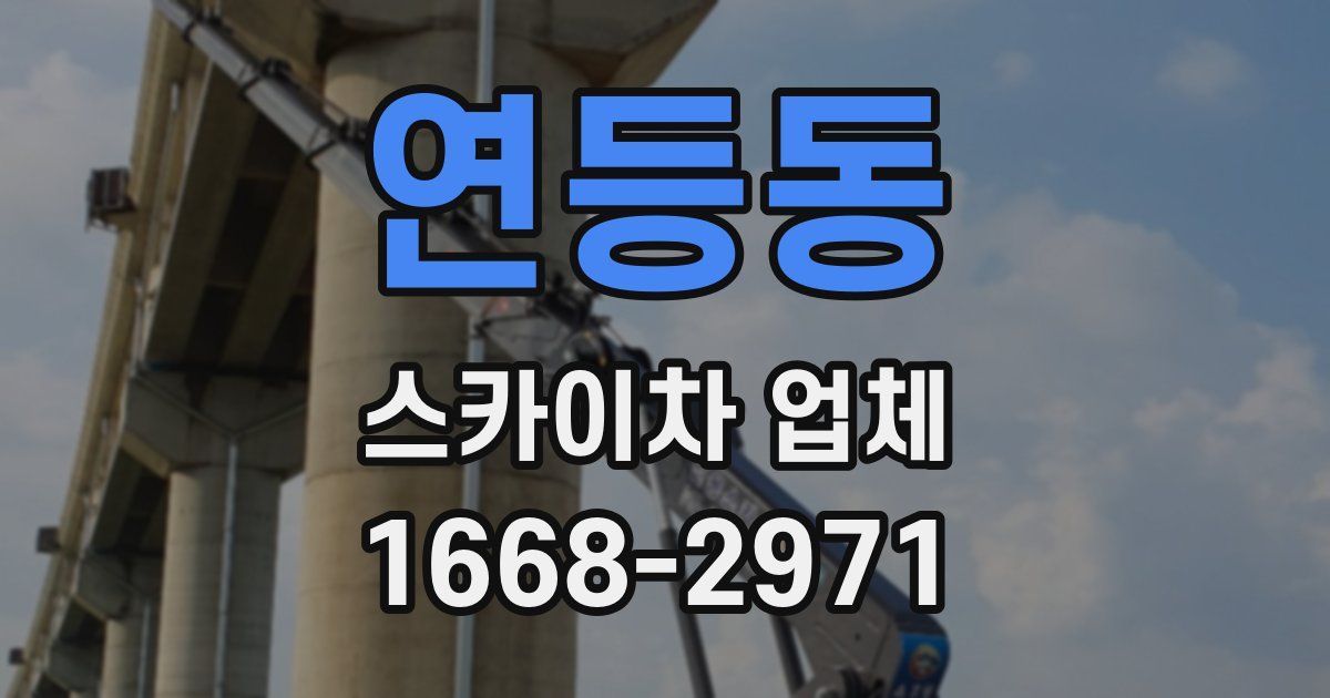 연등동 스카이차 업체