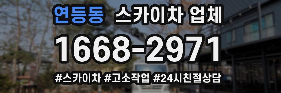 연등동 스카이차 업체