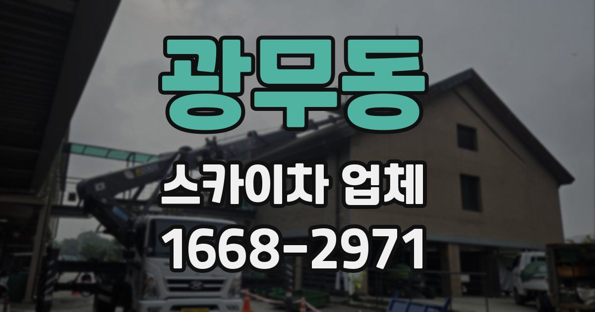 광무동 스카이차 업체