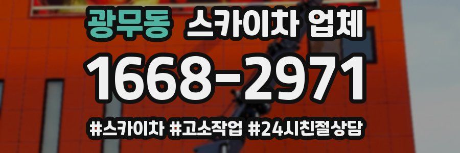 광무동 스카이차 업체