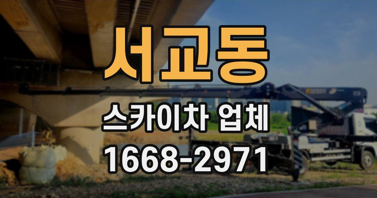 서교동 스카이차 업체