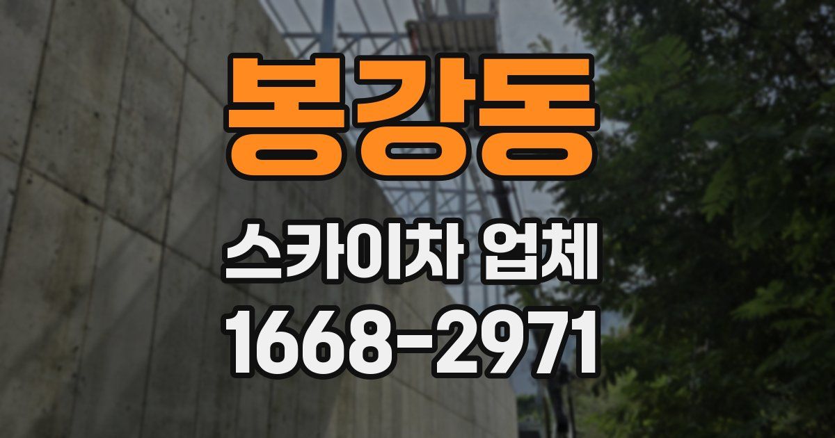봉강동 스카이차 업체