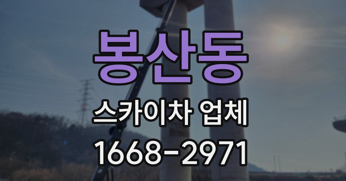 봉산동 스카이차 업체