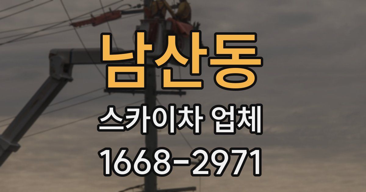 남산동 스카이차 업체