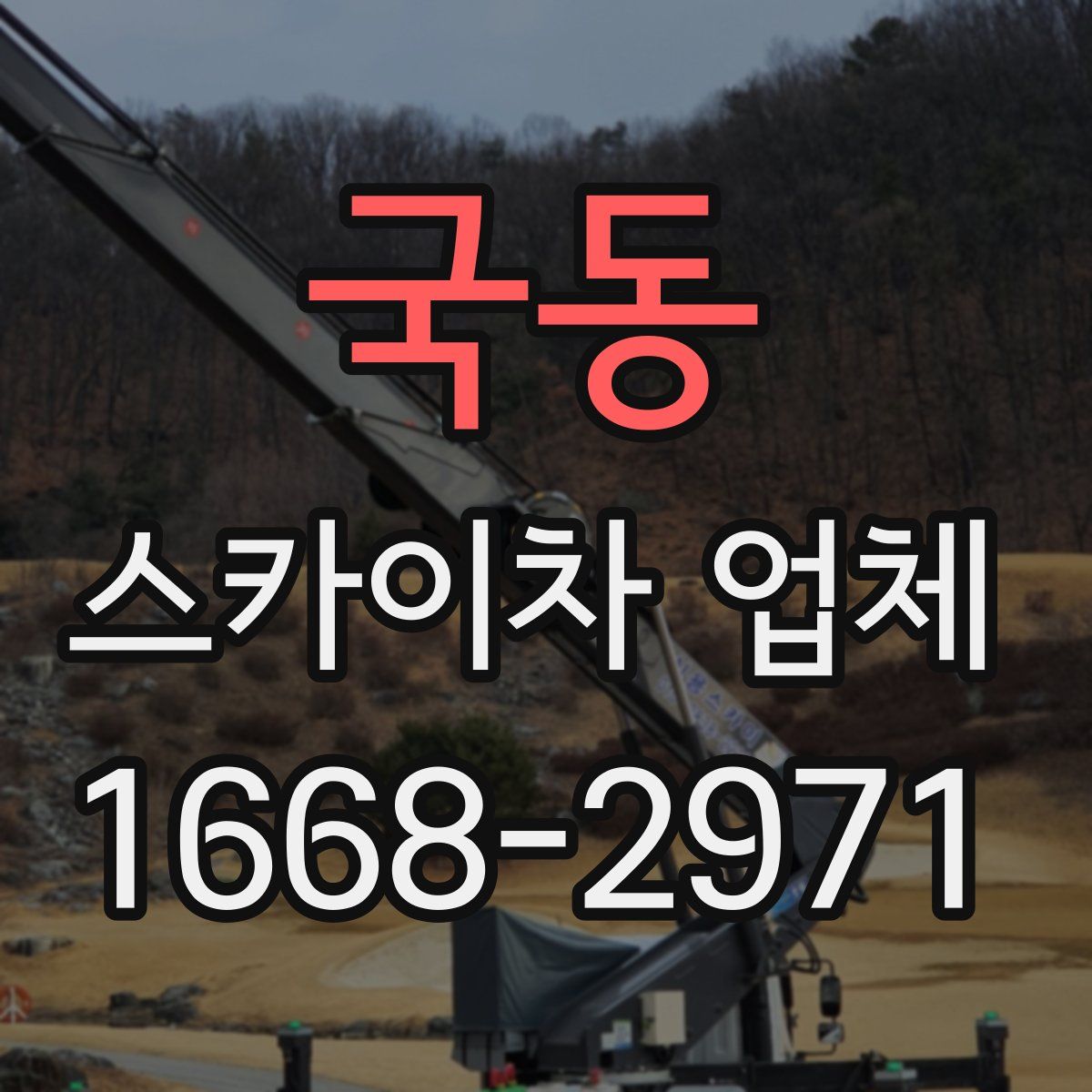 국동 스카이차 업체