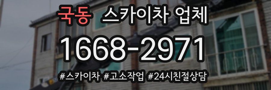 국동 스카이차 업체