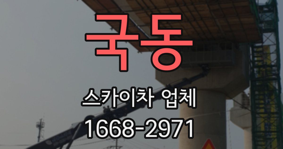 국동 스카이차 업체