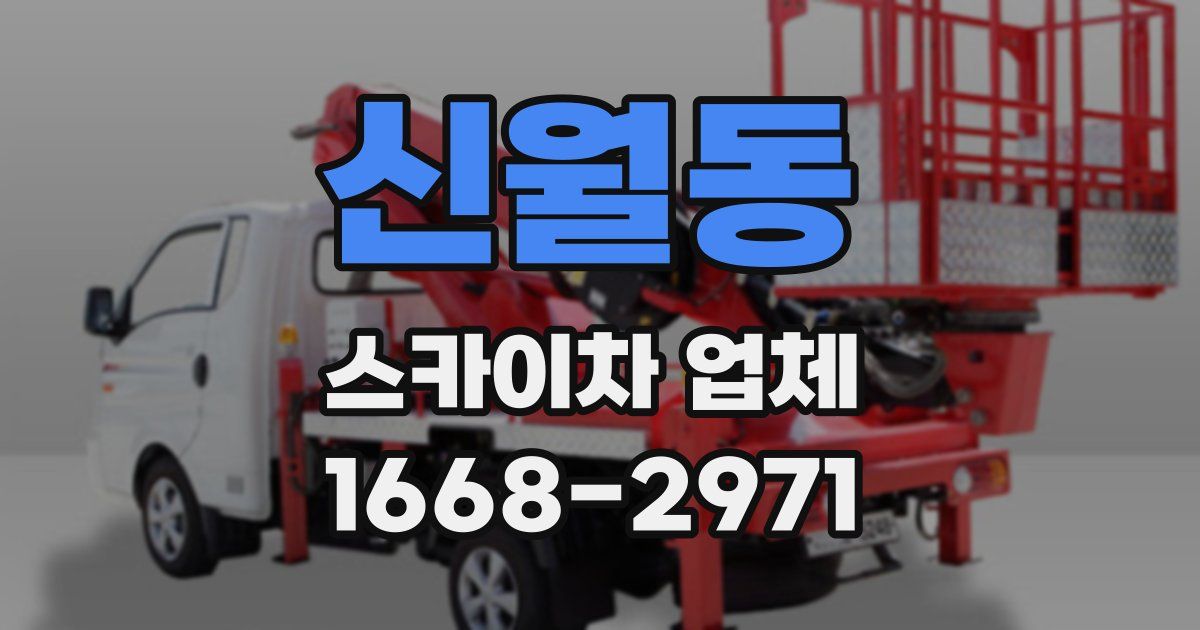 신월동 스카이차 업체