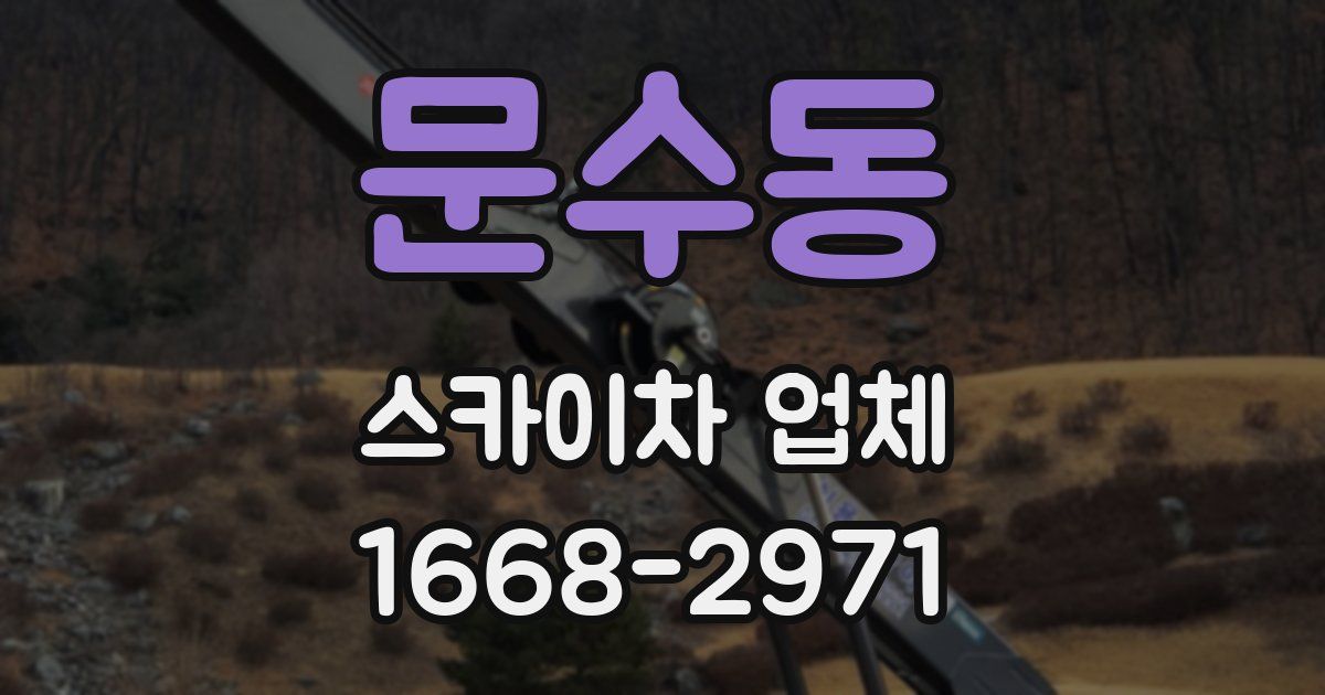 문수동 스카이차 업체