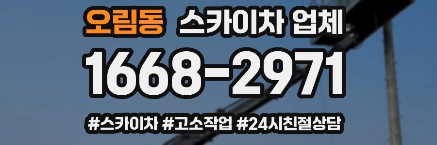 오림동 스카이차 업체