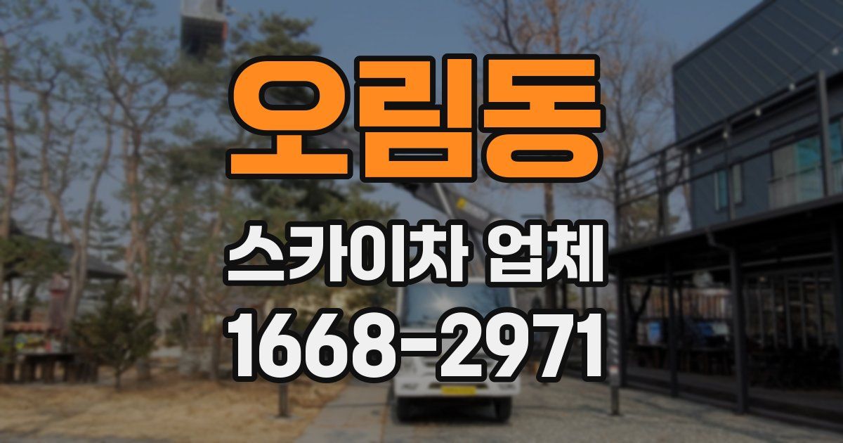 오림동 스카이차 업체