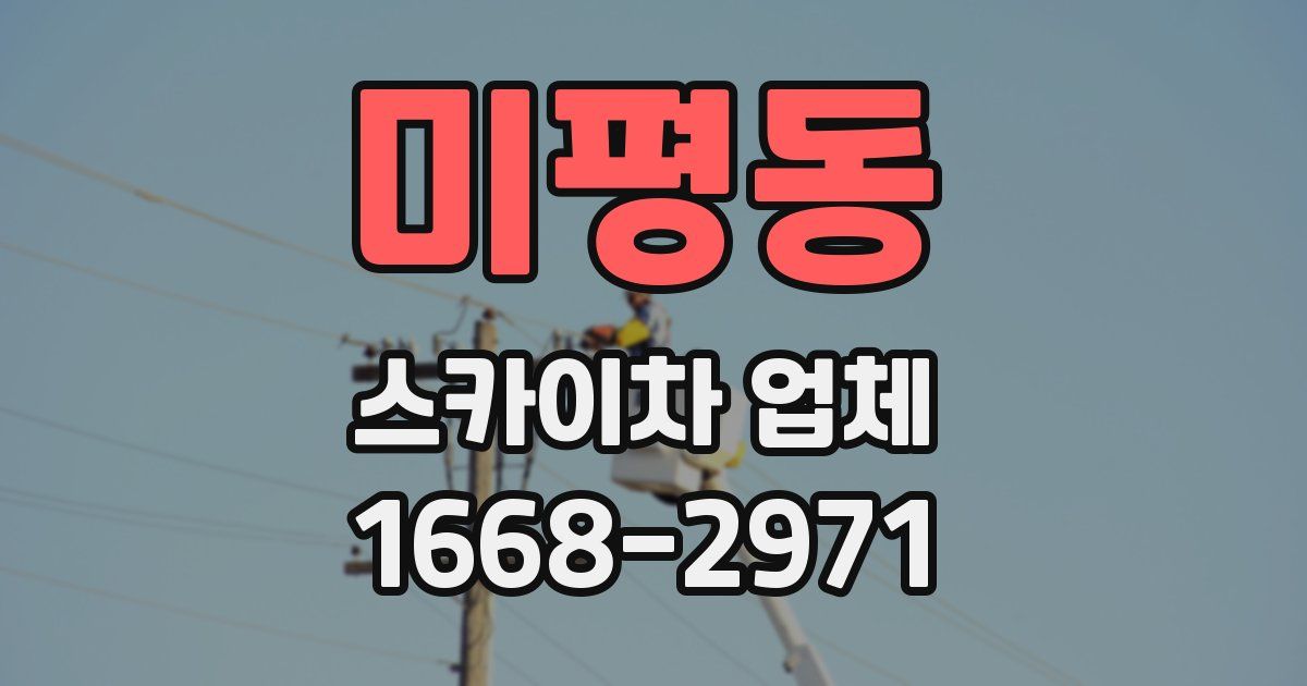 미평동 스카이차 업체