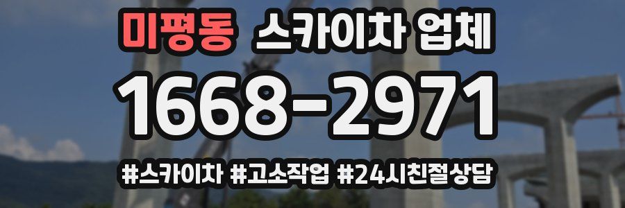 미평동 스카이차 업체