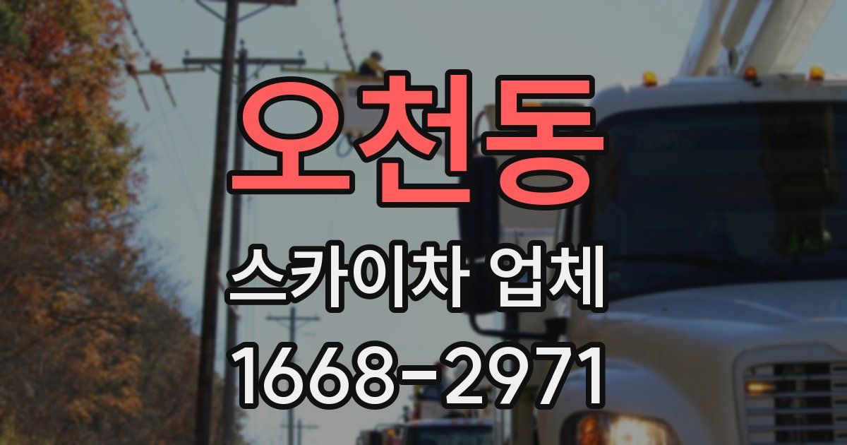 오천동 스카이차 업체