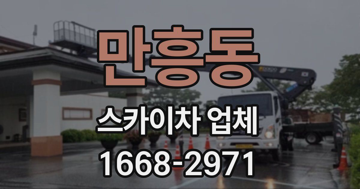 만흥동 스카이차 업체