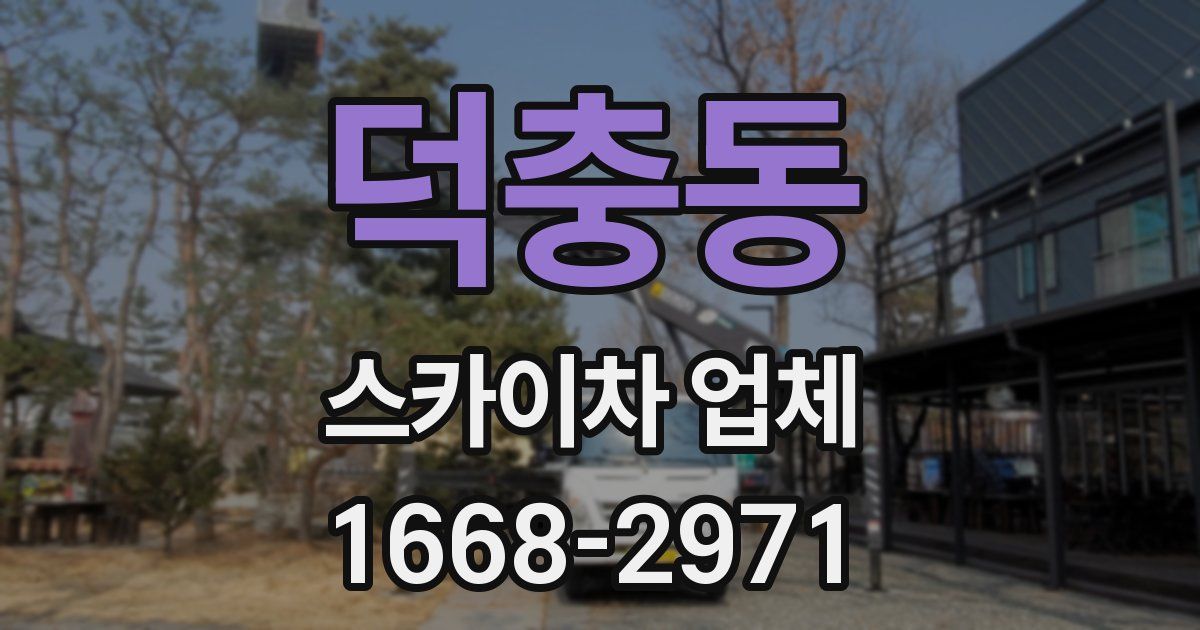 덕충동 스카이차 업체