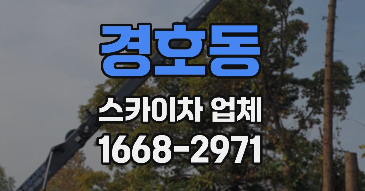 경호동 스카이차 업체
