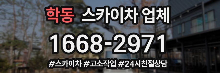 학동 스카이차 업체