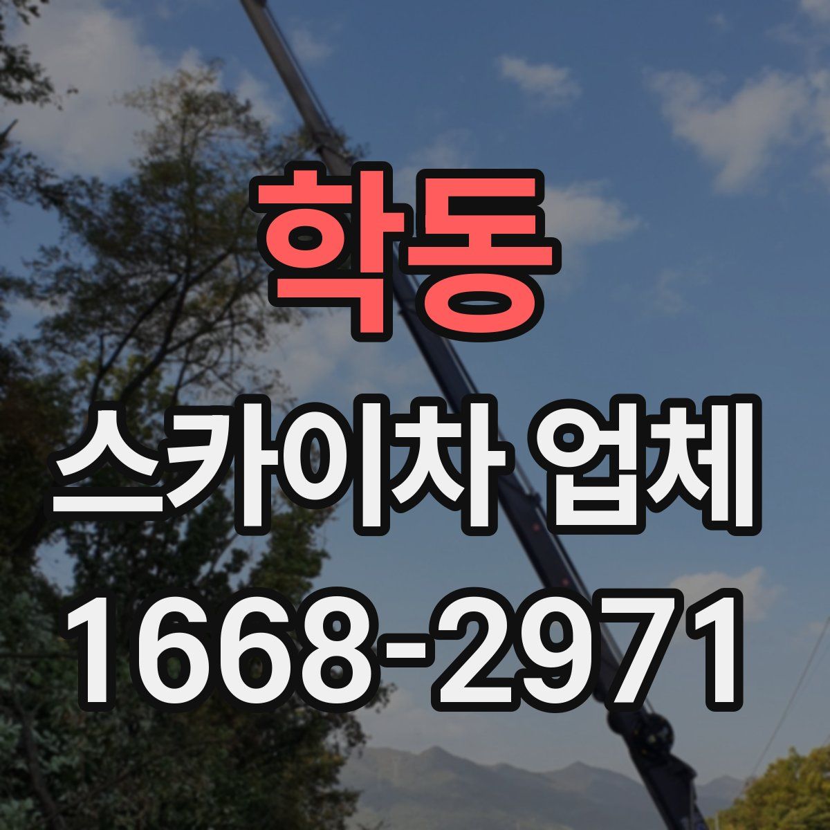 학동 스카이차 업체