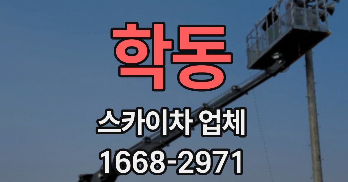 학동 스카이차 업체
