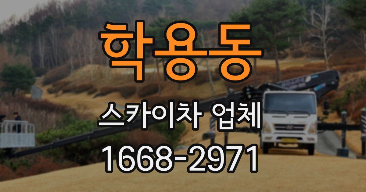 학용동 스카이차 업체