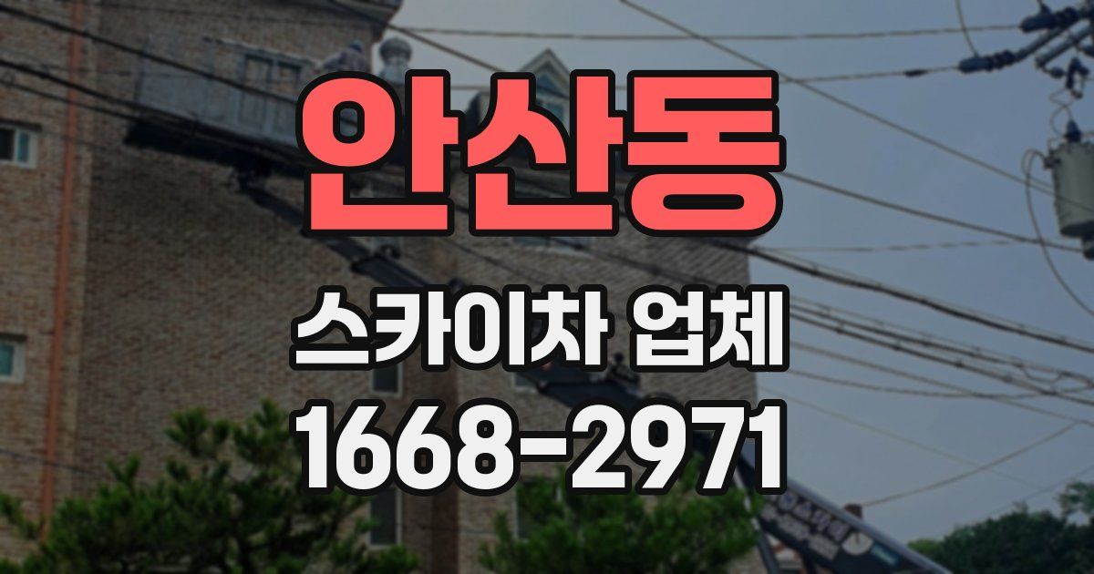 안산동 스카이차 업체