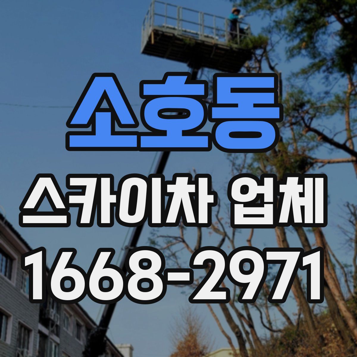 소호동 스카이차 업체