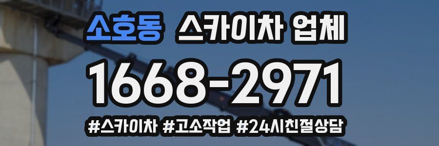 소호동 스카이차 업체