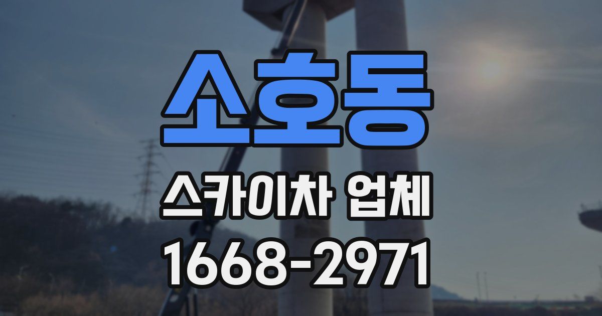 소호동 스카이차 업체