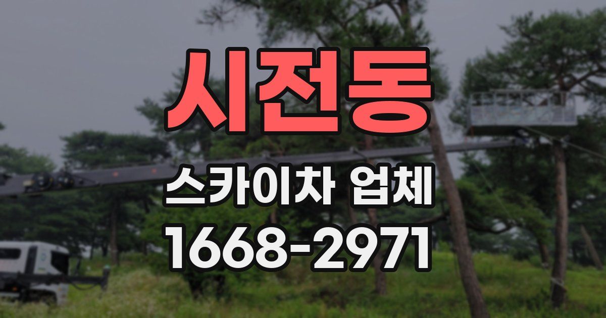 시전동 스카이차 업체